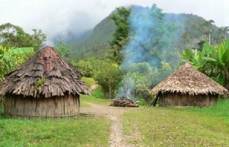 Rumah Adat Wamai, 1. Rumah Adat Honai, 2. Rumah Adat Ebei untuk Perempuan, 3. Rumah Pohon Suku Korowai, 4. Rumah Adat Rumsram, 5. Rumah Adat Jew dari Suku Asmat , 6. Rumah Adat Kariwari, 7. Rumah Adat Kaki Seribu, 8. Rumah Adat Wamai