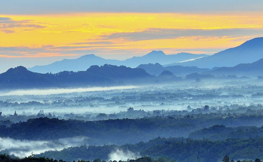 Taman Nasional Bukit Barisan Selatan (Lampung &amp; Bengkulu), 1. Taman Nasional Gunung Leuser (Aceh), 2. Taman Nasional Way Kambas (Lampung), 3. Taman Nasional Berbak (Jambi), 4. Taman Nasional Siberut (Sumatera Barat), 5. Taman Nasional Bukit Tiga Puluh (Riau &amp; Jambi), 6. Taman Nasional Kerinci Seblat (Sumatera Barat, Sumatera Selatan, Jambi, dan Bengkulu), 7. Taman Nasional Bukit Barisan Selatan (Lampung &amp; Bengkulu), 8.  Taman Nasional Bukit Dua Belas (Jambi), 9. Taman Nasional Batang Gadis (Sumatera Utara), 10. Taman Nasional Tesso Nilo (Riau)