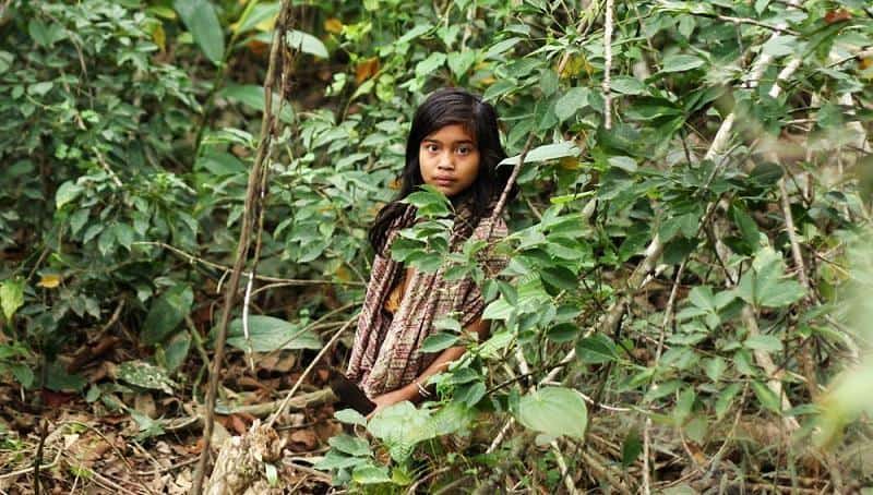 Taman Nasional Bukit Dua Belas (Jambi), 1. Taman Nasional Gunung Leuser (Aceh), 2. Taman Nasional Way Kambas (Lampung), 3. Taman Nasional Berbak (Jambi), 4. Taman Nasional Siberut (Sumatera Barat), 5. Taman Nasional Bukit Tiga Puluh (Riau &amp; Jambi), 6. Taman Nasional Kerinci Seblat (Sumatera Barat, Sumatera Selatan, Jambi, dan Bengkulu), 7. Taman Nasional Bukit Barisan Selatan (Lampung &amp; Bengkulu), 8.  Taman Nasional Bukit Dua Belas (Jambi), 9. Taman Nasional Batang Gadis (Sumatera Utara), 10. Taman Nasional Tesso Nilo (Riau)