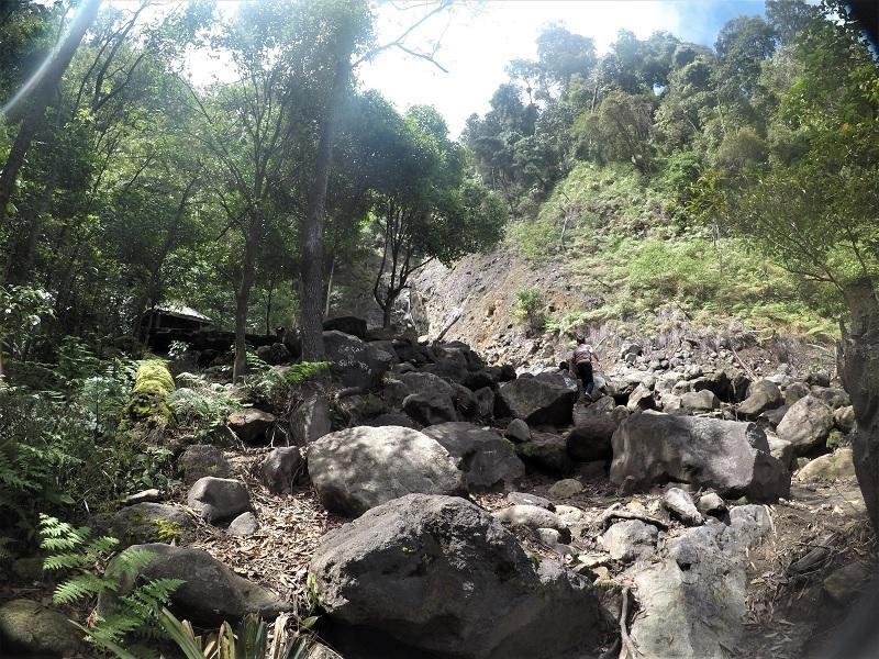 Taman Nasional Batang Gadis (Sumatera Utara), 1. Taman Nasional Gunung Leuser (Aceh), 2. Taman Nasional Way Kambas (Lampung), 3. Taman Nasional Berbak (Jambi), 4. Taman Nasional Siberut (Sumatera Barat), 5. Taman Nasional Bukit Tiga Puluh (Riau &amp; Jambi), 6. Taman Nasional Kerinci Seblat (Sumatera Barat, Sumatera Selatan, Jambi, dan Bengkulu), 7. Taman Nasional Bukit Barisan Selatan (Lampung &amp; Bengkulu), 8.  Taman Nasional Bukit Dua Belas (Jambi), 9. Taman Nasional Batang Gadis (Sumatera Utara), 10. Taman Nasional Tesso Nilo (Riau)