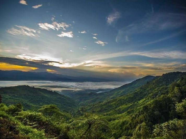 Taman Nasional Kerinci Seblat (Sumatera Barat, Sumatera Selatan, Jambi, dan Bengkulu), 1. Taman Nasional Gunung Leuser (Aceh), 2. Taman Nasional Way Kambas (Lampung), 3. Taman Nasional Berbak (Jambi), 4. Taman Nasional Siberut (Sumatera Barat), 5. Taman Nasional Bukit Tiga Puluh (Riau &amp; Jambi), 6. Taman Nasional Kerinci Seblat (Sumatera Barat, Sumatera Selatan, Jambi, dan Bengkulu), 7. Taman Nasional Bukit Barisan Selatan (Lampung &amp; Bengkulu), 8.  Taman Nasional Bukit Dua Belas (Jambi), 9. Taman Nasional Batang Gadis (Sumatera Utara), 10. Taman Nasional Tesso Nilo (Riau)