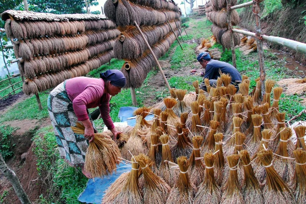Mempertahankan Menanam Padi Secara Tradisional, 1. Sistem Pemerintahan, 2. Dipimpin Seorang Abah, 3. Sistem Pendidikan, 4. Punya Banyak Upacara Adat, 5. Sudah Mengenal Listrik, 6. Punya Radio Stasiun TV dan Radio Sendiri, 7. Mempertahankan Menanam Padi Secara Tradisional