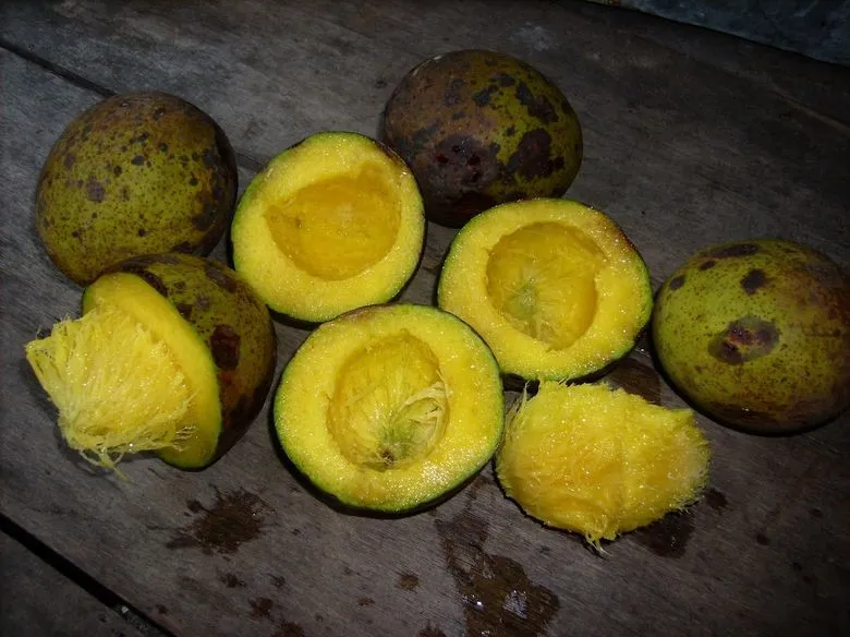 Asam Putar, 1. Rambai, 3. Keledang, 4. Kasturi, 5. Lahung, 6. Asam Putar, 7. Ucong, 8. Bemotong, 9. Ramania, 10. Mundar
