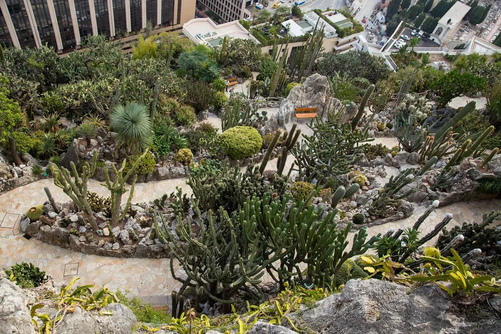 Jardin Exotique, 1. Palais du Prince, 2. Monte Carlo, 3. Fort Antoine, 4. Musée Oceanographique, 5. Cathédrale de Monaco, 6. Jardin Exotique, 7. Opera de Monte-Carlo, 8. Monaco-Ville (Le Rocher), 9. Mont Agel, 10. Pantai Larvotto