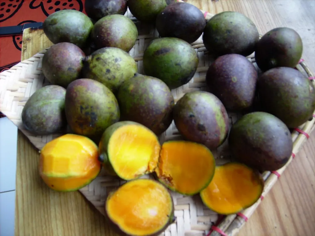 Kasturi, 1. Rambai, 3. Keledang, 4. Kasturi, 5. Lahung, 6. Asam Putar, 7. Ucong, 8. Bemotong, 9. Ramania, 10. Mundar