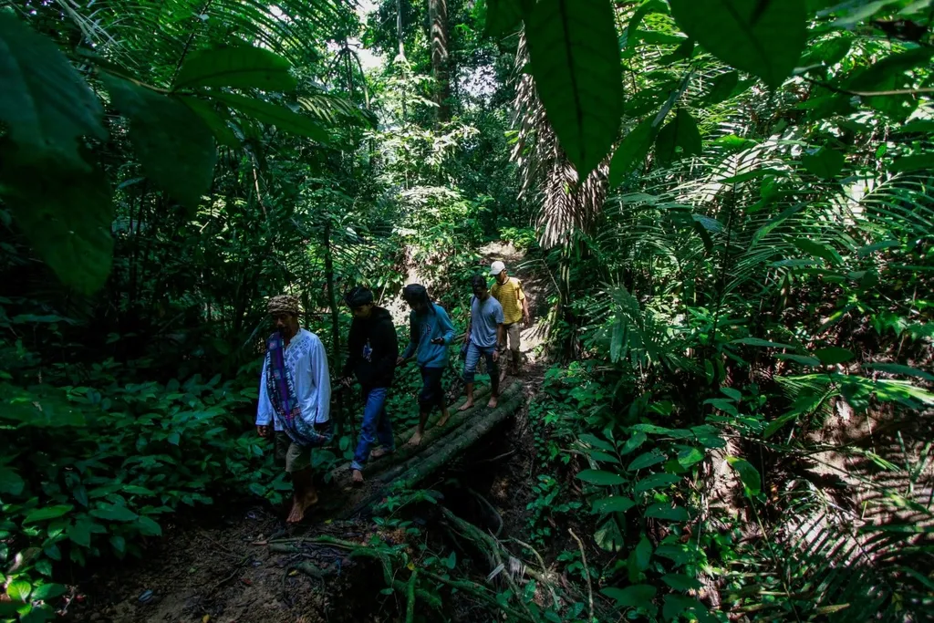 Punya Hutan Larangan, Bukti Bahwa Kampung Kuta Peninggalan Kerajaan Galuh, Patuh pada Ki Bumi, Pamali dan Amanat Leluhur, Punya Hutan Larangan, Tradisi dan Aturan di Masyarakat Kampung Kuta, Amanat Leluhur di Kampung Kuta dan Filosofinya