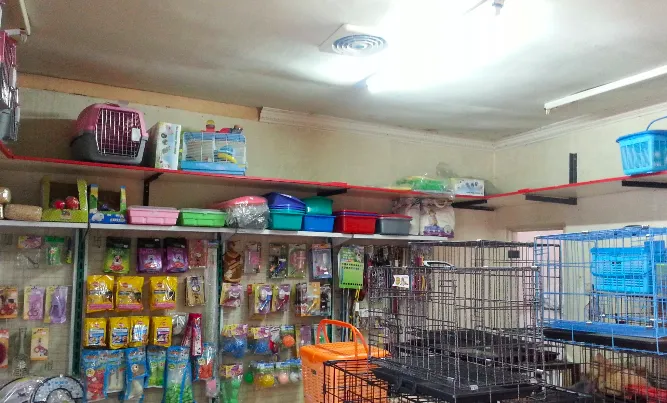 1. Club Pet, 2. Juaro Pet Shop &amp; Care, 3. Muezza Petshop, 4. Ramdhan Pet Shop Bandung Wetan, 5. Mutiara Pet Shop &amp; Drh. Lista, 6. Rumah Guguk Petshop, 7. Pet Distro, 8. Fourty One Pet Shop, 9. Zoom Pet Shop, 10. PetCare69, 11. Pet Island, 12. Jangki Petshop, 13. Suci Petshop, 14. Bejo Petmart, 15. Momo Petshop &amp; Care