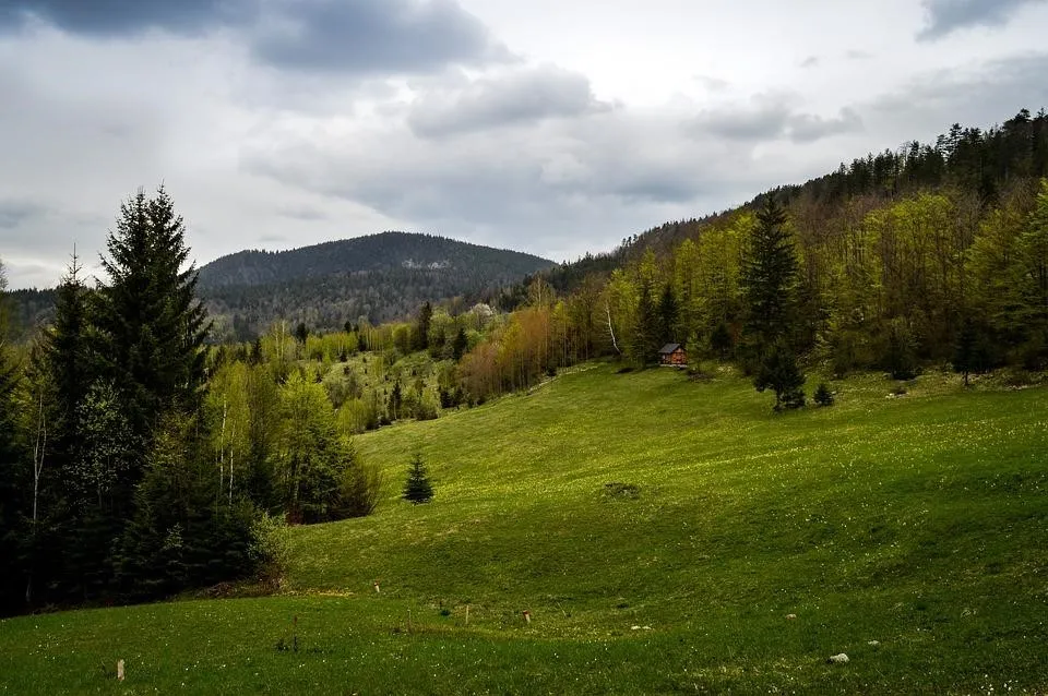 Taman Nasional Tara, 2. Beograd, 3. Novi Sad, 4. Taman Nasional Fruska Gora, 5. Biara Studenica, 6. Museum Nikola Tesla, 7. Devil’s Town, 8. Zlatibor, 9. Taman Nasional Tara, 10. Benteng Beograd