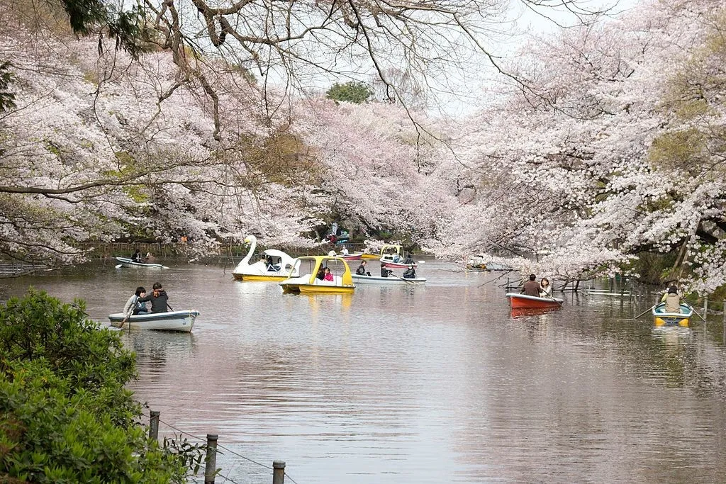 Taman Inokashira, 1. Shinjuku Gyoen, 2. Taman Ueno, 3. Taman Yoyogi, 4. Taman Showa Kinen, 5. Taman Shiba, 6. Taman Kasai Rinkai, 7. Taman Tepi Laut Odaiba, 8. Taman Timur Istana Kekaisaran, 9. Taman Inokashira, 10. Taman Rikugien