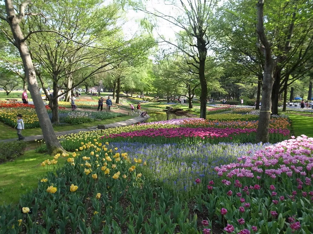 Taman Showa Kinen, 1. Shinjuku Gyoen, 2. Taman Ueno, 3. Taman Yoyogi, 4. Taman Showa Kinen, 5. Taman Shiba, 6. Taman Kasai Rinkai, 7. Taman Tepi Laut Odaiba, 8. Taman Timur Istana Kekaisaran, 9. Taman Inokashira, 10. Taman Rikugien