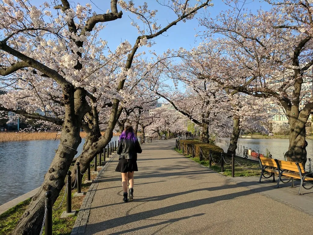 Taman Ueno, 1. Shinjuku Gyoen, 2. Taman Ueno, 3. Taman Yoyogi, 4. Taman Showa Kinen, 5. Taman Shiba, 6. Taman Kasai Rinkai, 7. Taman Tepi Laut Odaiba, 8. Taman Timur Istana Kekaisaran, 9. Taman Inokashira, 10. Taman Rikugien