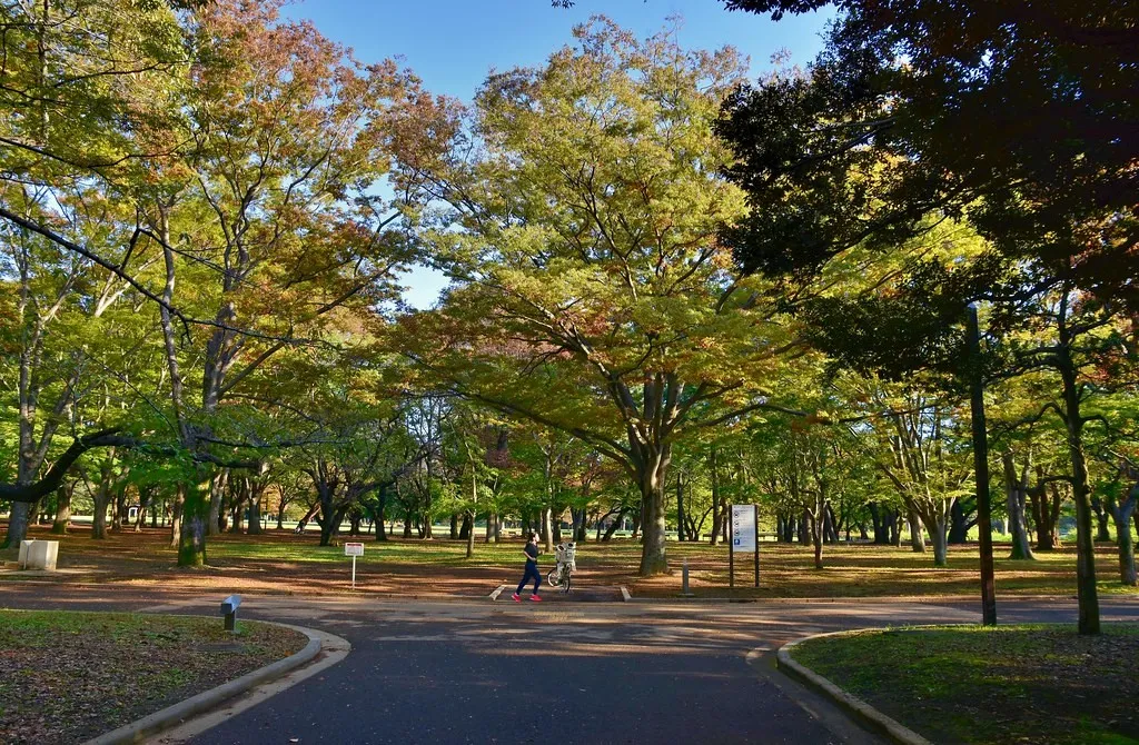Taman Yoyogi, 1. Shinjuku Gyoen, 2. Taman Ueno, 3. Taman Yoyogi, 4. Taman Showa Kinen, 5. Taman Shiba, 6. Taman Kasai Rinkai, 7. Taman Tepi Laut Odaiba, 8. Taman Timur Istana Kekaisaran, 9. Taman Inokashira, 10. Taman Rikugien