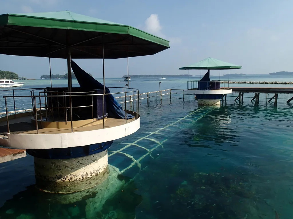 Undersea Tunnel Aquarium, Spot Menarik di Pulau Putri, Harga Tiket dan Jam Operasional, Fasilitas, Alamat dan Akses Transportasi ke Pulau Putri, Tempat Menginap di Pulau Putri