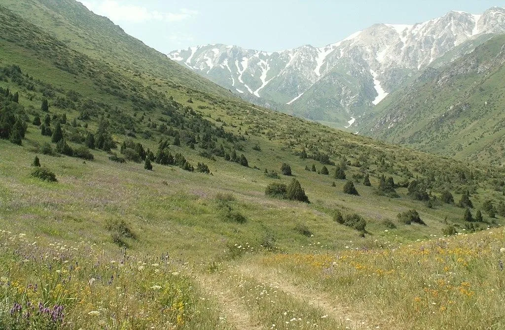 Aksu-Zhabagly, 1. Ngarai Charyn, 2. Beket-Ata, 3. Nur-Sultan, 4. Yasaui Mausoleum, 5. Danau Almaty, 6. Taman Nasional Ile-Alatau, 7. Taman Nasional Altyn Emel, 8. Aksu-Zhabagly, 9. Kota Sauran, 10. Aktau