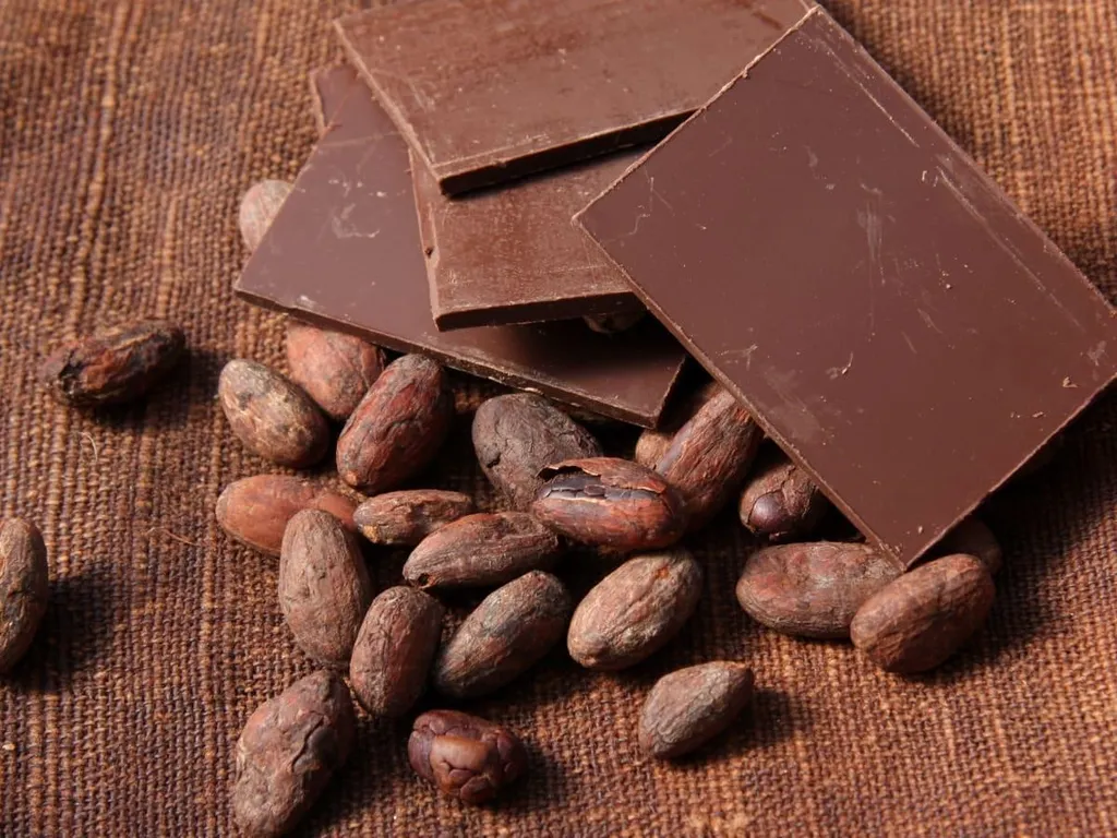 Cokelat, 1. Hoosh, 2. Bannock, 3. Pemmican, 4. Cokelat, 5. Cookie Sledging, 6. Antarctic Food Chain, 7. Bebek Panggang, 8. Fresh Seafood