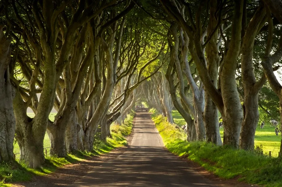 County Antrim , 1. Cliff of Moher - County Clare, 2. Trim Castle – County Meath, 3. Wicklow Mountain – County Wicklow, 4. Pantai Ballinesker – County Wexford, 5. Skellig Michael – County Kerry, 6. Powerscourt House &amp; Gardens – County Wicklow, 7. Killruddery House – County Wicklow, 8. Kilmainham Gaol – Dublin, 9. Dingle Peninsula – County Kerry, 10. County Antrim 