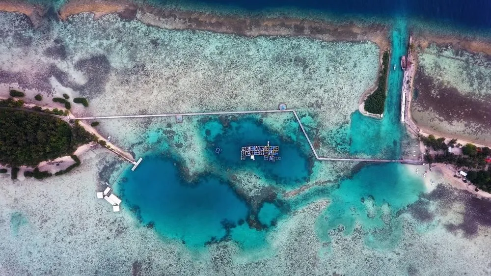 Pilih Satu Pulau Saja, 1. Siapkan dan Rencanakan dengan Detail, 2. Pilihlah Agen Travel Wisata yang Terpercaya, 3. Pilih Satu Pulau Saja, 4. Menentukan Alat Transportasi, 5. Ingat Jadwal Pemberangkatan Kapal, 6. Pakailah Sunblock, 7. Kenakan Pakaian Berbahan Katun, 8. Peralatan Elektronik dan Perlengkapannya, 9. Bawa Minuman dan Makanan Ringan, 10. Pilih Tempat Menginap dengan View yang Bagus, 11. Pilih Musim Liburan yang Terbaik