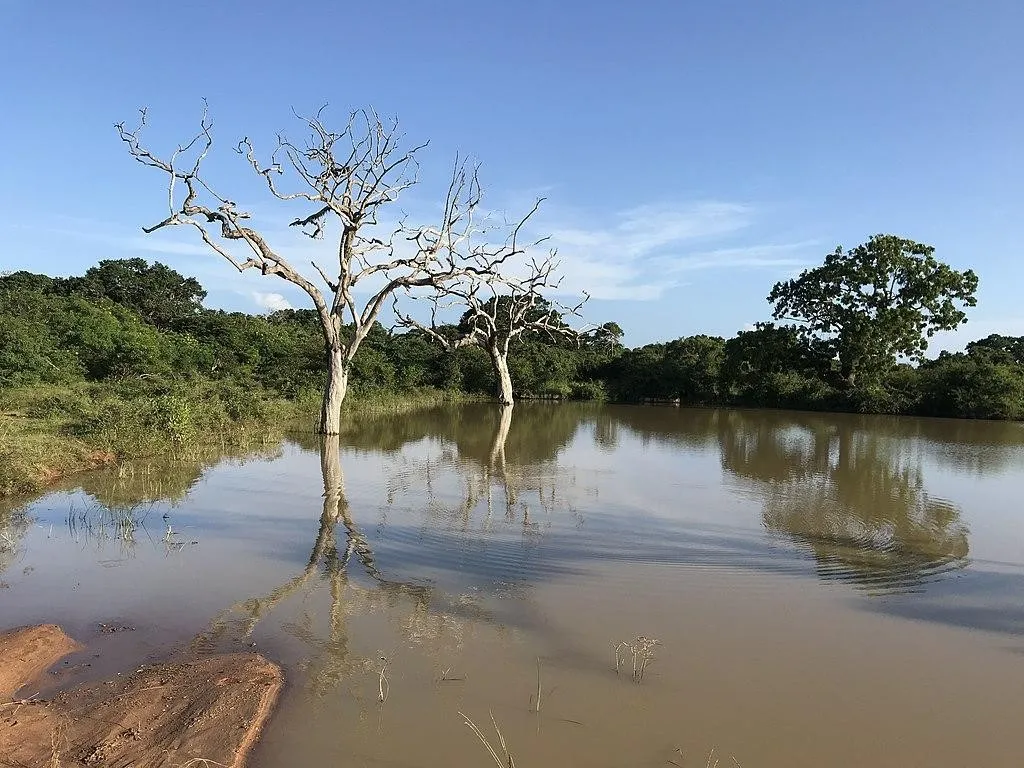 Taman Nasional Yala, 1. Taman Nasional Yala, 2. Benteng Batu Sigiriya, 3. Puncak Adam, 4. Teluk Arugam, 5. Benteng Galle, 6. Kuil Emas Dambulla, 7. Air Terjun Ravana, 8. Masjid Merah, 9. Mirissa, 10. Nine Arches Bridge