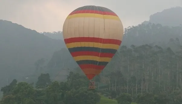 Balon Udara, 1. Baby Zoo, 2. Safari Trek, 3. Pertunjukan Satwa, 4. Safari Journey, 5. Balon Udara, 6. Boom Boom Car, 7. Safari Malam, 8. Spinning Boat, 9. Flume Ride, 10. Lolly Swing
