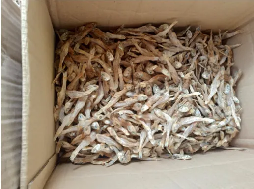 Ikan Teri Khas Sibolga, 1. Kerupuk Sambal Spesial, 2. Mie Gomak, 3. Sambal Andaliman , 4. Lampong Sagu , 5. Nasi Tue , 6. Ebi Udang Kering , 7. Ikan Teri Khas Sibolga