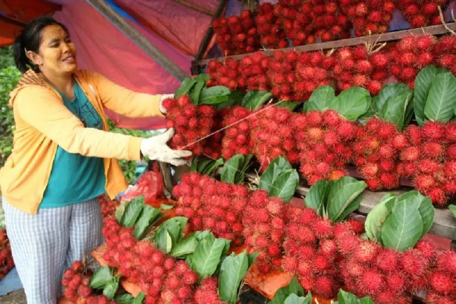 Rambutan Binjai, 1. Tau Kua Heci, 2. Ifumie Binjai, 3. Mie Sop Ayam, 4. Tahu Balek, 5. Es Campur, 6. Rambutan Binjai