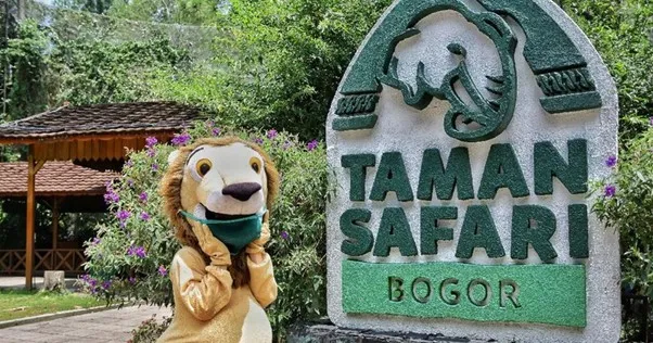 Sejarah Taman Safari, 1. Baby Zoo, 2. Safari Trek, 3. Pertunjukan Satwa, 4. Safari Journey, 5. Balon Udara, 6. Boom Boom Car, 7. Safari Malam, 8. Spinning Boat, 9. Flume Ride, 10. Lolly Swing