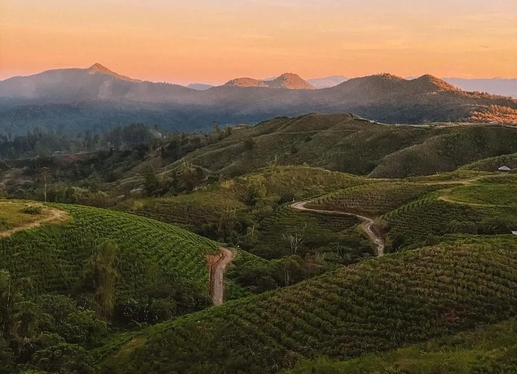 Malino Highland, 1. Padivalley Golf Club, 2. Danau Tanralili, 3. Lembah Ramma, 4. Air Terjun Takapala, 5. Malino Highland, 6. Bendungan Kampili, 7. Museum Balla Lompoa, 8. Pemandian Lembah Biru, 9. Air Terjun Parangloe, 10. Benteng Somba Opu