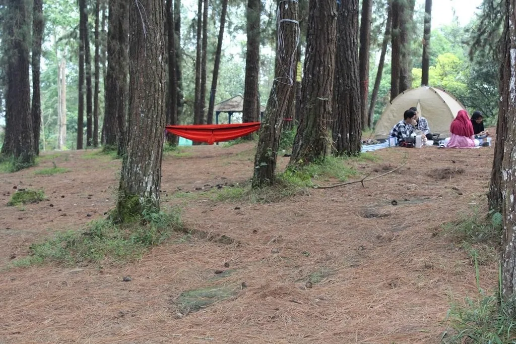 Bumi Perkemahan Cipanten, 1. Cadas Gantung, 2. Bukit Kanaga, 3. Bumi Perkemahan Cipanten, 4. Bukit Mercury Sayang Kaak, 5. Bumi Perkemahan Cidewata, 6. Bukit Sanghyang Dora, 7. Bumi Perkemahan Telaga Pancar, 8. Bumi Perkemahan Desa Pajajar, 9. Camping Ground Curug Leles, 10. Bukit Pamoroan