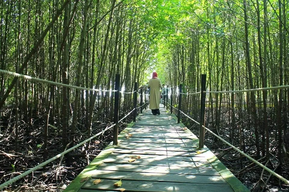 Bandar Bakau Dumai, 1. Pantai Teluk Makmur, 2. Hutan Wisata Dumai, 3. Danau Bunga Tujuh, 4. Wisata Mancing Pantai Pak Ngah, 5. Bandar Bakau Dumai, 6. Taman Bukit Gelanggang, 7. Tugu Lancang Kuning, 8. Pantai Koneng, 9. Masjid Raya Al-Manan, 10. Taman Telaga Tirta Patra