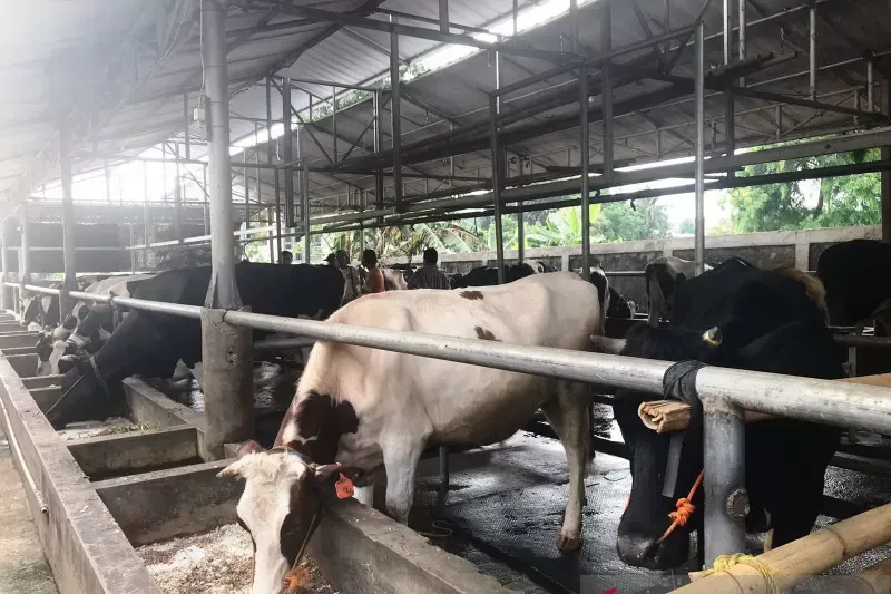 Cibubur Garden Dairy, 1. Taman Bunga Wiladatika, 2. Buperta Cibubur, 3. Kampung Cina, 4. Kampung Jepang, 5. Cibubur Garden Dairy, 6. Eldorado Waterpark, 7. Kampoeng Maen Cibubur, 8. Taman Lebah, 9. Telaga Arwana, 10. Taman Lalu Lintas Saka Bhayangkara