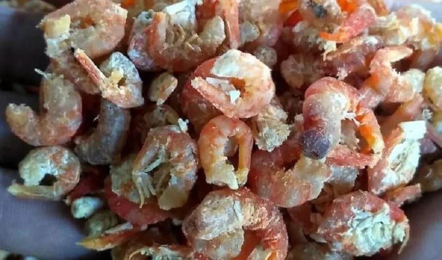 Ebi (Udang Kering), 1. Ikan Panggang Pacak, 2. Mie Gomak, 3. Ikan Panggang Geleng, 4. Lompong Sagu, 5. Gulai Ikan Sibolga, 6. Nasi Tue, 7. Sambal Andaliman, 8. Pale Badar atau Pepes Ikan Teri, 9. Ebi (Udang Kering), 10. Ikan Teri Sibolga