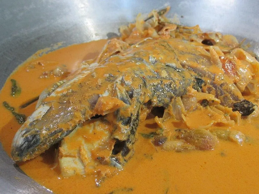 Gulai Kapalo Lauak, 1. Gulai Tambusu, 2. Gulai Cubadak, 3. Gulai Kapalo Lauak, 4. Gulai Gajebo, 5. Gulai Banak, 6. Gulai Jariang, 7. Gulai Babek, 8. Gulai Itik, 9. Gulai Masin, 10. Gulai Cancang, 11. Gulai Pucuak Ubi, 12. Gulai Tunjang