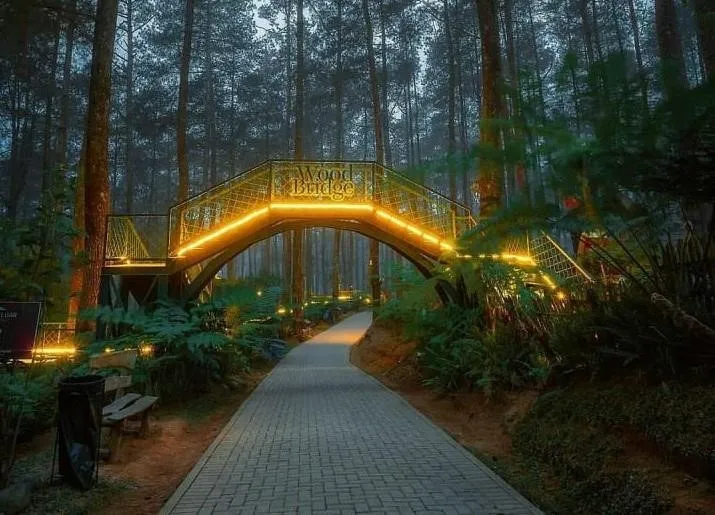 Grafika Cikole, 1. Bukit Bintang, 2. Gunung Tangkuban Perahu, 3. Puncak Ciumbuleuit, 4. Tahura Giri Jaya Lembang, 5. Sapu Lidi Lembang, 6. Kebun Begonia Lembang, 7. Kampung Daun, 8. The Peak Resort Dining, 9. Di’dieu Land, 10. Grafika Cikole
