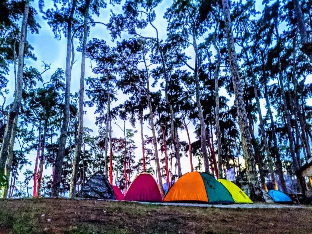 Hutan Pinus Rombeng, 1. Bukit Muntea, 2. Pantai Seruni, 3. Mini Showfarm, 4. Pantai Marina, 5. Air Terjun Bissappu, 6. Rumah Adat Balla Lompoa, 7. Hutan Pinus Rombeng, 8. Goa Batu Ejayya, 9. Permandian Eremerasa, 10. Air Terjun Simoko