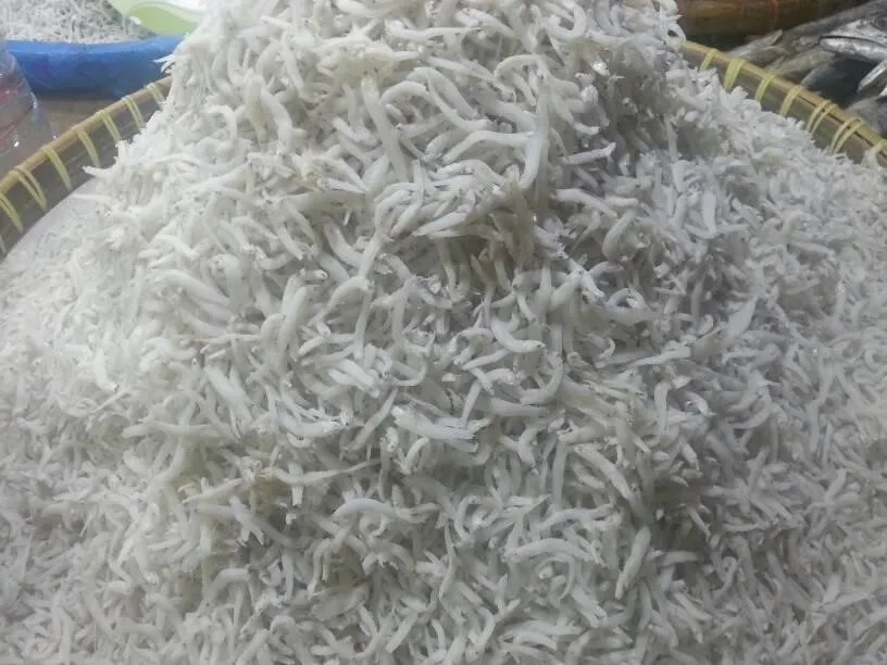 Ikan Teri Sibolga, 1. Ikan Panggang Pacak, 2. Mie Gomak, 3. Ikan Panggang Geleng, 4. Lompong Sagu, 5. Gulai Ikan Sibolga, 6. Nasi Tue, 7. Sambal Andaliman, 8. Pale Badar atau Pepes Ikan Teri, 9. Ebi (Udang Kering), 10. Ikan Teri Sibolga