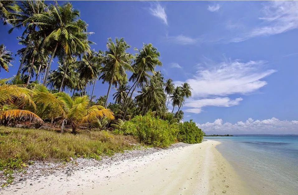 Pulau Wunga Laguna, 1. Desa Bawomataluo, 2. Desa Wisata Orahili, 3. Pantai Indah Tureloto, 4. Pantai Gawu Soyo, 5. Pantai Indah Sorake, 6. Pantai Lagundri, 7. Pulau Wunga Laguna, 8. Pantai Ladeha, 9. Air Terjun Luaha Ndroi, 10. Pulau Asu