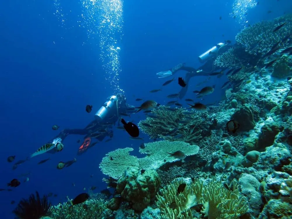 Pantai Anggopi, 1. Telaga Biru Samares, 2. Pantai Anggopi, 3. Air Terjun Wafsarak, 4. Goa Binsari, 5. Air Terjun Karmon, 6. Wisata Cagar Budaya Kuburan Tua Padwa, 7. Pantai Batu Picah, 8. Tanjung Saruri, 9. Pulau Owi, 10. Pantai Segara Indah