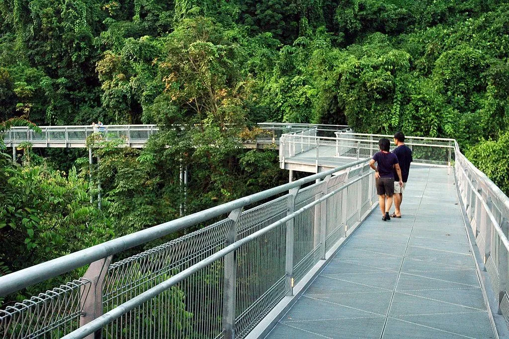 Jelajahi Singapura dengan Berjalan Kaki, 1. Pakai Pakaian yang Tepat, 2. Peta Transportasi dan Peta Wisata, 3. Pilih MRT, 4. Jelajahi Singapura dengan Berjalan Kaki, 5. Beli Kartu EZ Link atau Tourist Pass, 6. Pilih Penginapan Dekat Tempat Wisata, 7. Toilet, 8. Jangan Lupa Sunscreen dan Botol Minum, 9. Ikuti Aturan, 10. Saat Perut Lapar, Mampir ke Hawker Centre