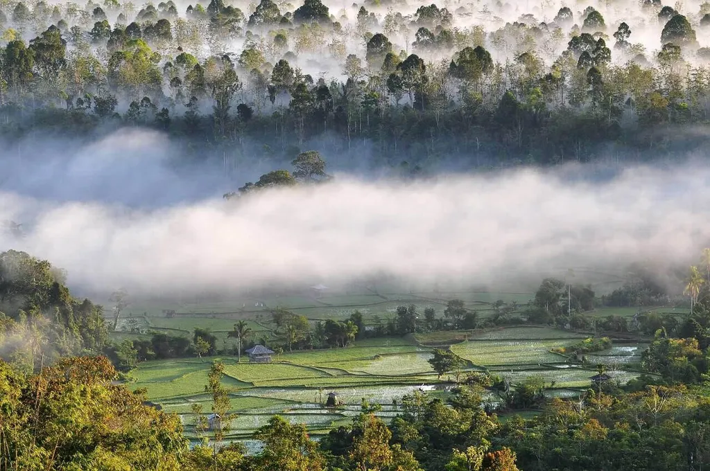 Cagar Alam Morowali, 1. Kepulauan Sombori, 2. Pulau Dua Laut, 3. Air Terjun Veranomata, 4. Gua Allo, 5. Baho Pombine, 6. Desa Wisata Sakita, 7. Cagar Alam Morowali, 8. Puncak Fafo Baho, 9. Puncak Mateantina, 10. Air Terjun Bahoumumpa