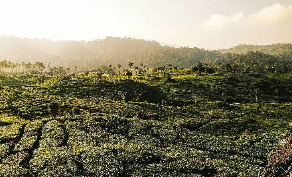 Desa Wisata Alamendah, 1. Desa Wisata Pasanggrahan, 2. Desa Wisata Saung Ciburial, 3. Desa Wisata Lebak Muncang, 4. Desa Wisata Kampung Adat Cireundeu, 5. Desa Wisata Alamendah, 6. Desa Wisata Cisande, 7. Desa Wisata Gegesik Kulon, 8. Desa Wisata Selasari, 9. Desa Wisata Cibuntu, 10. Desa Wisata Wangunharja