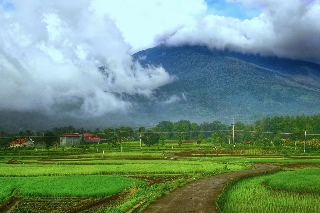 Desa Wisata Cibuntu, 1. Desa Wisata Pasanggrahan, 2. Desa Wisata Saung Ciburial, 3. Desa Wisata Lebak Muncang, 4. Desa Wisata Kampung Adat Cireundeu, 5. Desa Wisata Alamendah, 6. Desa Wisata Cisande, 7. Desa Wisata Gegesik Kulon, 8. Desa Wisata Selasari, 9. Desa Wisata Cibuntu, 10. Desa Wisata Wangunharja