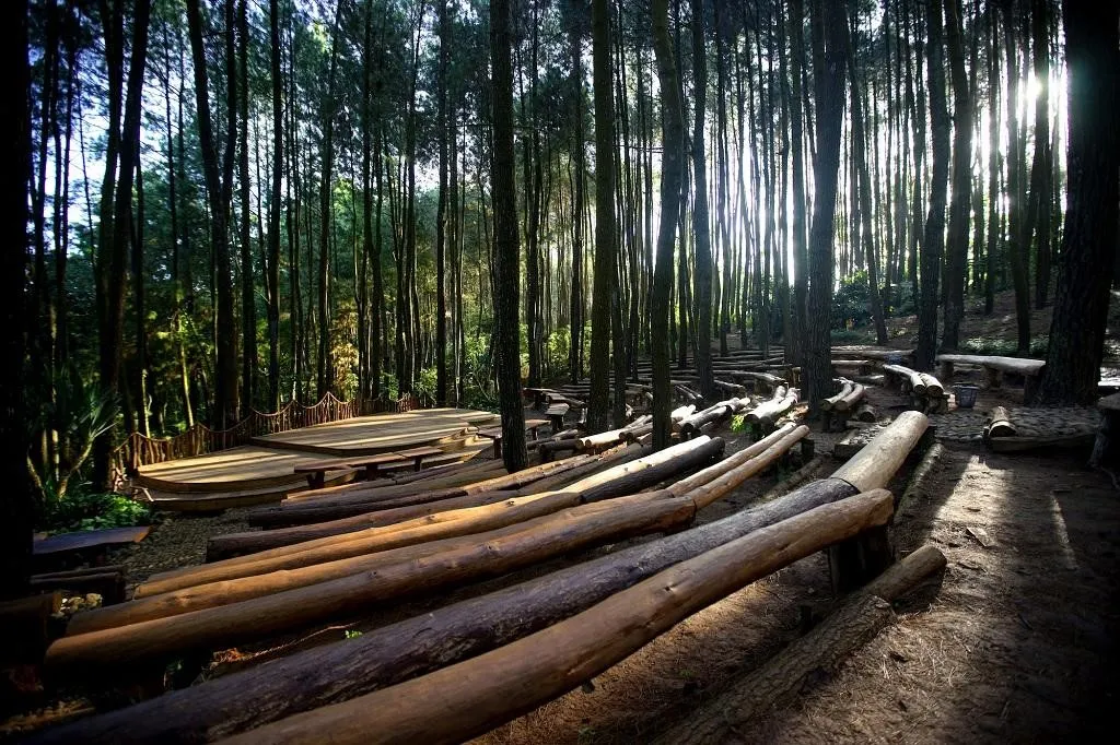 Desa Wisata Kaki Langit, 1. Desa Wisata Kembang Arum, 2. Desa Wisata Tembi, 3. Desa Wisata Kaki Langit, 4. Desa Wisata Ketingan, 5. Desa Wisata Rejowinangun, 6. Desa Wisata Nglinggo, 7. Desa Wisata Tinalah, 8. Desa Wisata Petingsari, 9. Desa Wisata Candran, 10. Desa Wisata Sambirejo