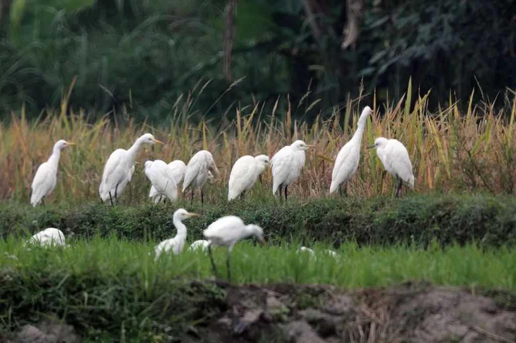 Desa Wisata Ketingan, 1. Desa Wisata Kembang Arum, 2. Desa Wisata Tembi, 3. Desa Wisata Kaki Langit, 4. Desa Wisata Ketingan, 5. Desa Wisata Rejowinangun, 6. Desa Wisata Nglinggo, 7. Desa Wisata Tinalah, 8. Desa Wisata Petingsari, 9. Desa Wisata Candran, 10. Desa Wisata Sambirejo