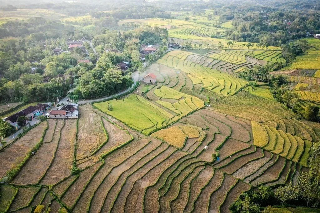 Desa Wisata Sumberbulu, 1. Desa Wisata Dieng Kulon, 2. Desa Wisata Sangiran, 3. Desa Wisata Pandanrejo, 4. Desa Wisata Cikakak, 5. Desa Wisata Karanganyar, 6. Desa Wisata Sumberbulu, 7. Desa Wisata Candirejo, 8. Desa Wisata Panusupan, 9. Desa Wisata Lerep, 10. Desa Wisata Kementul
