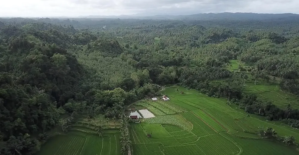 Desa Wisata Selasari, 1. Desa Wisata Pasanggrahan, 2. Desa Wisata Saung Ciburial, 3. Desa Wisata Lebak Muncang, 4. Desa Wisata Kampung Adat Cireundeu, 5. Desa Wisata Alamendah, 6. Desa Wisata Cisande, 7. Desa Wisata Gegesik Kulon, 8. Desa Wisata Selasari, 9. Desa Wisata Cibuntu, 10. Desa Wisata Wangunharja