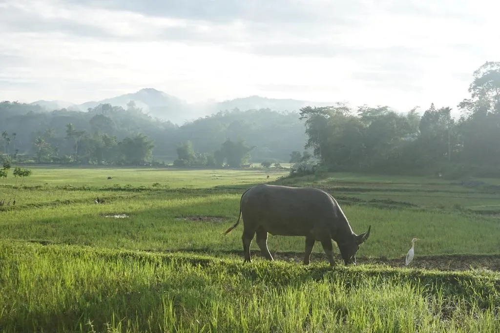 Desa Wisata Tembi, 1. Desa Wisata Kembang Arum, 2. Desa Wisata Tembi, 3. Desa Wisata Kaki Langit, 4. Desa Wisata Ketingan, 5. Desa Wisata Rejowinangun, 6. Desa Wisata Nglinggo, 7. Desa Wisata Tinalah, 8. Desa Wisata Petingsari, 9. Desa Wisata Candran, 10. Desa Wisata Sambirejo