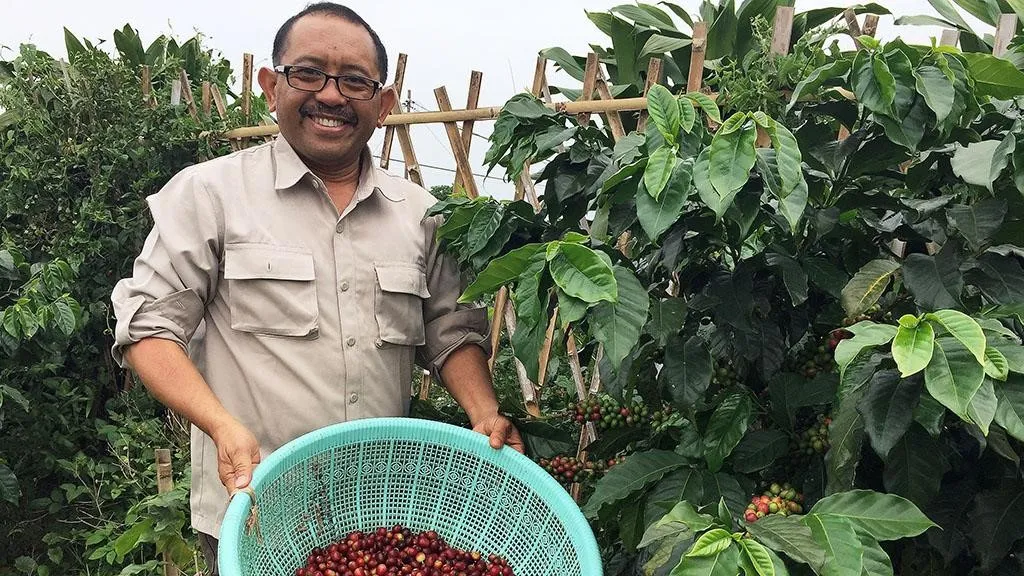 Kopi Mekarwangi, 1. Kopi Malabar, 2. Kopi Gunung Puntang, 3. Kopi Ciwidey, 4. Kopi Mekarwangi, 5. Kopi Java Cibeber, 6. Kopi Palasari, 7. Kopi Cikuray, 8. Kopi Papandayan, 9. Kopi Gunung Halu