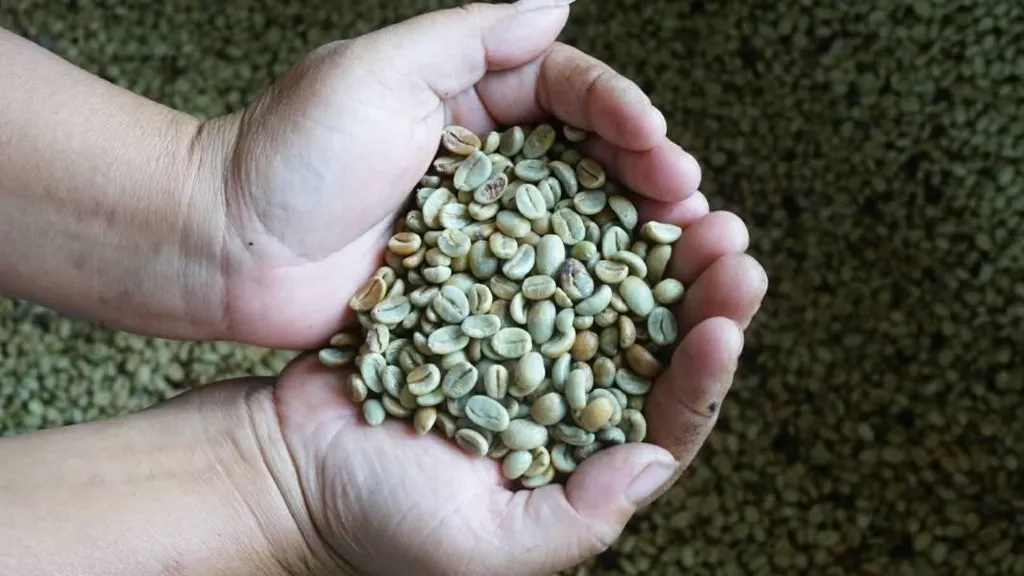 Kopi Palasari, 1. Kopi Malabar, 2. Kopi Gunung Puntang, 3. Kopi Ciwidey, 4. Kopi Mekarwangi, 5. Kopi Java Cibeber, 6. Kopi Palasari, 7. Kopi Cikuray, 8. Kopi Papandayan, 9. Kopi Gunung Halu