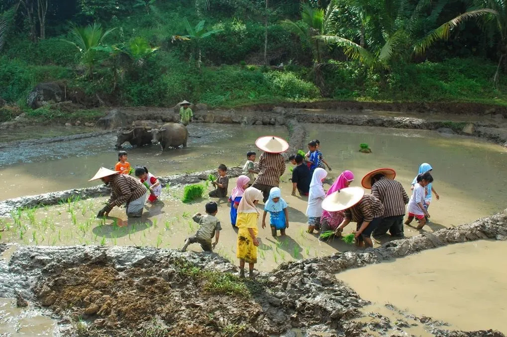Desa Wisata Sembrani, 1. River Walk Boja, 2. Curug Benowo, 3. Desa Wisata Sembrani, 4. Trisobo Park, 5. Wahana Tirta Nusantara, 6. Santosa Stable