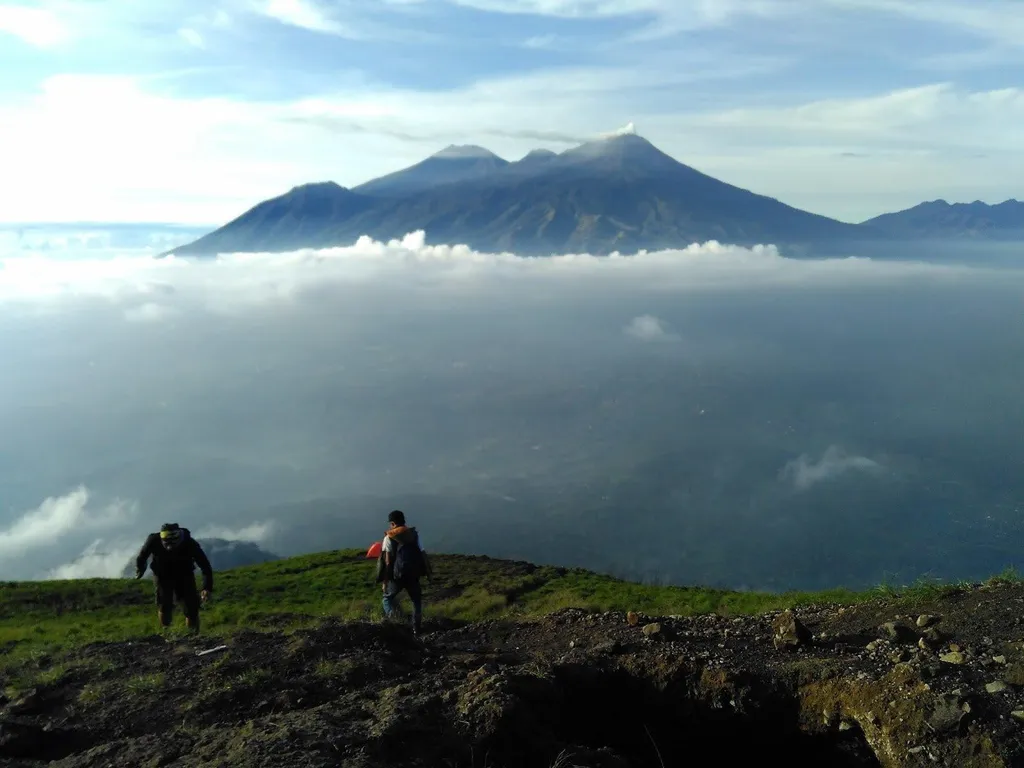 Gunung Arjuno Welirang, 1. Air Terjun Putuk Truno, 2. Air Terjun Kakek Bodo, 3. Taman Safari Indonesia 2, 4. Candi Jawi, 5. Tretes Treetop Adventure, 6. Cimory Dairyland and Resto, 7. Air Terjun Alap-Alap, 8. Gunung Arjuno Welirang